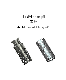 ISpine Mesh 钛网