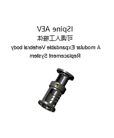 ISpine AEV 可调人工椎体