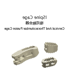 ISpine Cage 椎间融合器